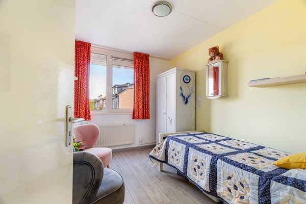 Albert Schweitzererf 6_31.jpg